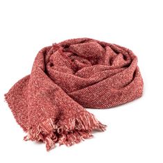 ALISHA PASHMINA