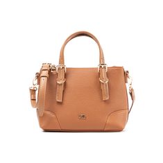 AMBER CARTERA CHICA