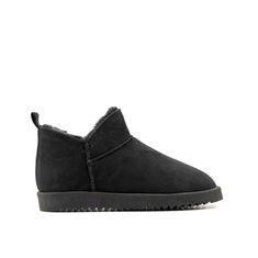 MILAN BOTA